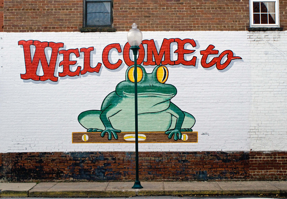 Welcome to Frog Level